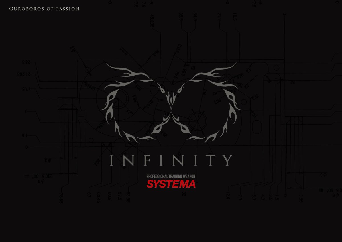 画像9: 即納モデル【INFINITY】NBORDE HK416D AG SMR (9)