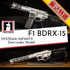 画像1: [数量限定振込特価] 先行予約モデル【INFINITY】 F1 BDRX-15 (1)