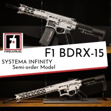 画像1: 先行予約モデル【INFINITY】 F1 BDRX-15 (1)