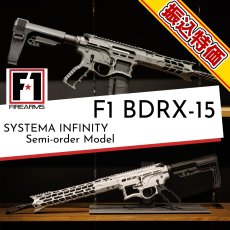 画像1: [数量限定振込特価] 先行予約モデル【INFINITY】 F1 BDRX-15 (1)