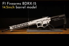 画像5: 先行予約モデル【INFINITY】 F1 BDRX-15 (5)
