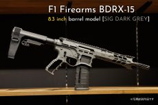 画像3: [数量限定振込特価] 先行予約モデル【INFINITY】 F1 BDRX-15 (3)
