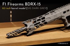 画像4: [数量限定振込特価] 先行予約モデル【INFINITY】 F1 BDRX-15 (4)