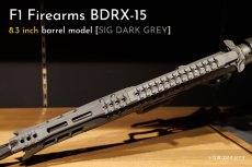 画像8: [数量限定振込特価] 先行予約モデル【INFINITY】 F1 BDRX-15 (8)