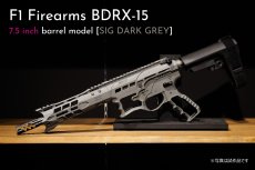 画像6: [数量限定振込特価] 先行予約モデル【INFINITY】 F1 BDRX-15 (6)