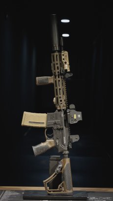 画像2: 【お客様ギャラリー】DANIEL DEFENSE DD4 RIIIs (2)