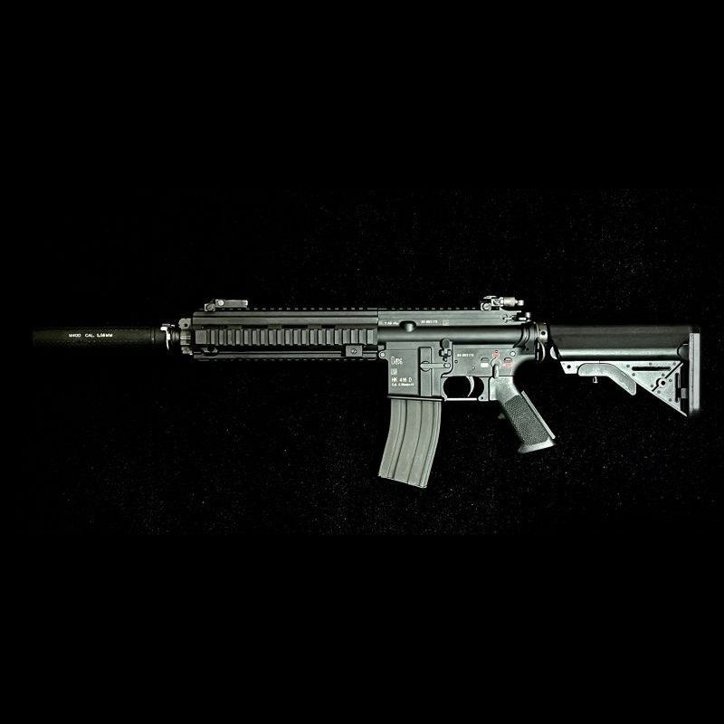 画像2: 【受注生産品 INFINITY】NBORDE HK416D AG QDS